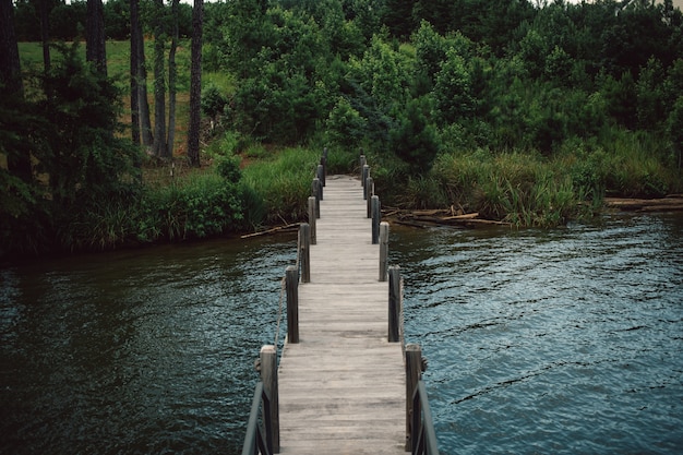 Pasarela de madera del embarcadero que va del lago al bosque