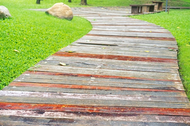 Pasarela de madera con hojas secas