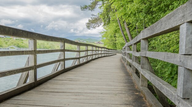 Pasarela de madera rodeada de agua y árboles.