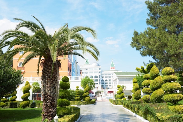 Pasarela en el parque de verano con palmeras. Amara Dolce Vita Hotel de lujo. Recurso. Tekirova-Kemer. pavo