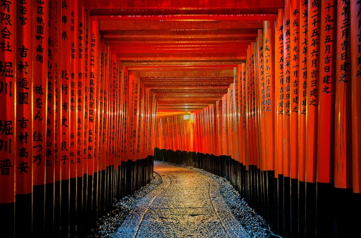 Foto gratuito la pasarela de puertas torii rojas en el santuario fushimi inari taisha en kyoto, japón.