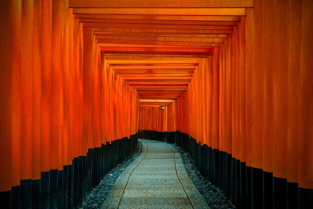 La pasarela de puertas torii rojas en el santuario fushimi inari taisha en Kyoto, Japón.