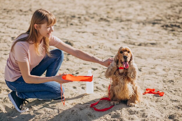 Paseador de mascotas dando un paseo con cocker spaniel