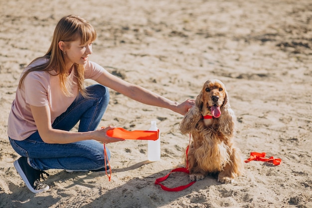 Paseador de mascotas dando un paseo con cocker spaniel