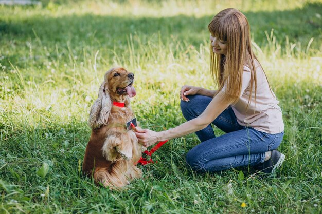 Paseador de mascotas dando un paseo con cocker spaniel