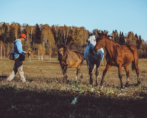 Foto gratuita paseo a caballo