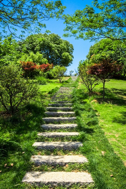 Paseo en un hermoso parque de la ciudad