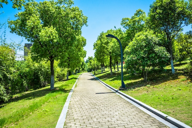 Paseo en un hermoso parque de la ciudad