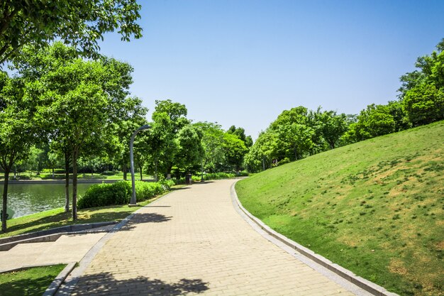 Paseo en un hermoso parque de la ciudad