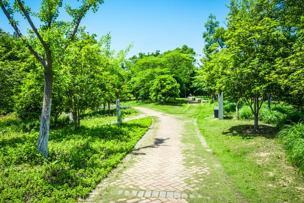 Paseo en un hermoso parque de la ciudad