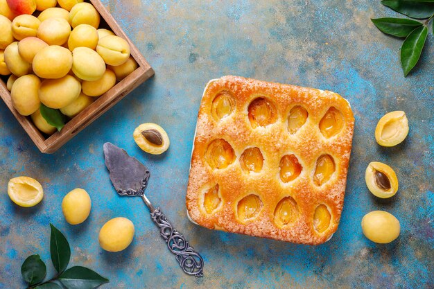 Pastel de albaricoque de verano postre de fruta deliciosa casera