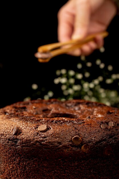 Pastel de chocolate marrón tradicional