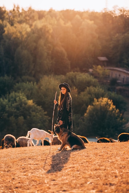 Foto gratuita pastora con un perro pasta un rebaño en el césped