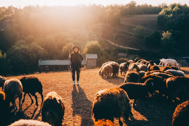 Foto gratuita pastora y rebaño de ovejas en un césped