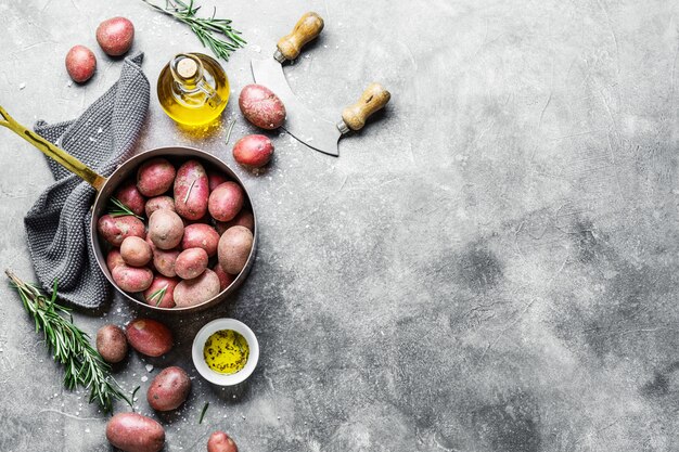 Patatas orgánicas crudas con especias sobre fondo gris