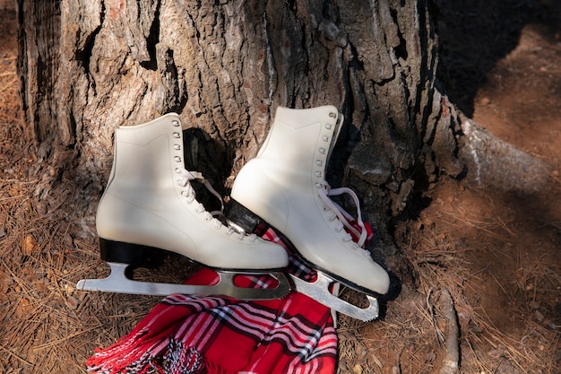 Foto gratuita patines de hielo al aire libre bodegón