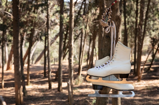 Foto gratuita patines de hielo al aire libre bodegón