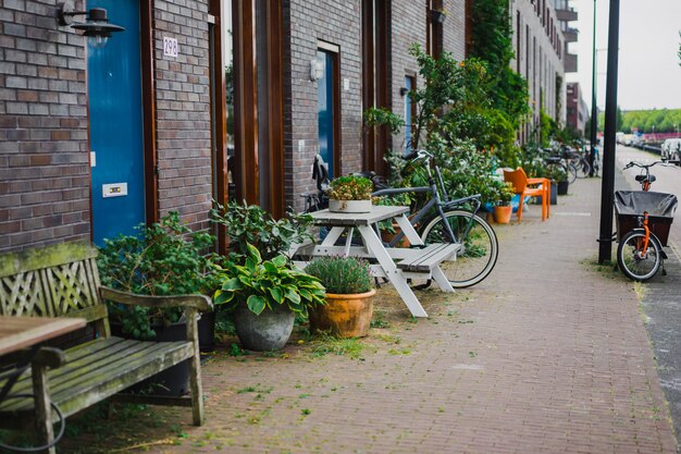 Patios acogedores de amsterdam, bancos, bicicletas, flores en tinas.