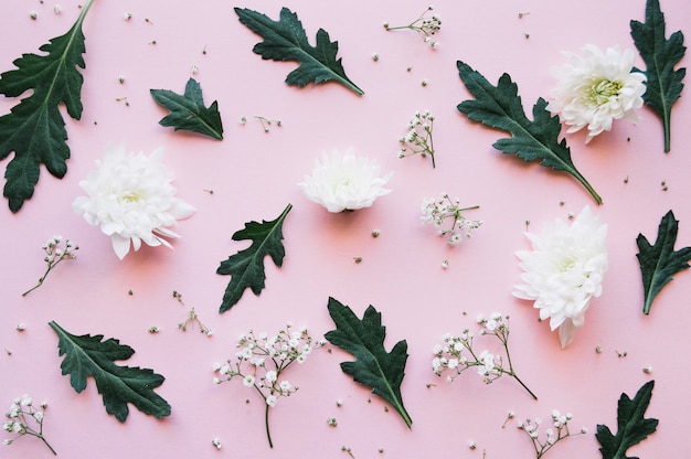 Foto gratuita patrón creativo de flores en rosa