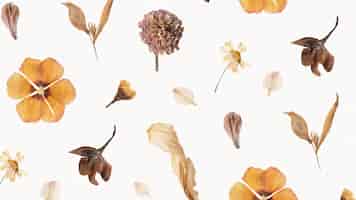 Foto gratuita patrón de papel tapiz de flores secas naturales