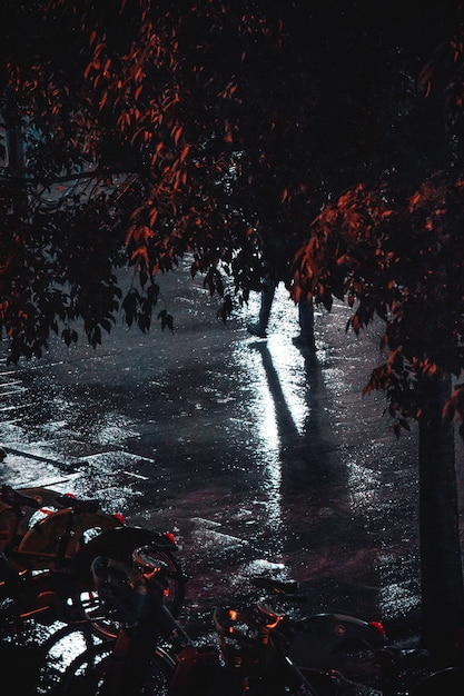 Pavimento mojado por la noche después de la lluvia