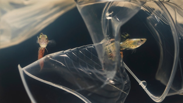 Foto gratuita peces tratando de evitar los materiales plásticos.