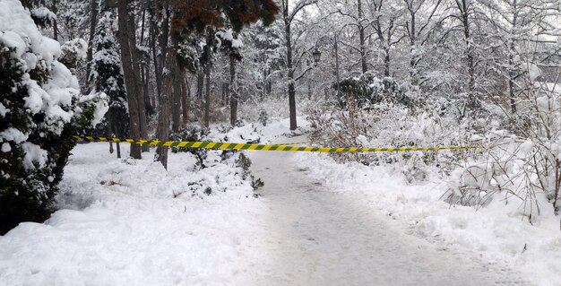 Pedazo de cinta de barrera en un bosque nevado que bloquea la entrada