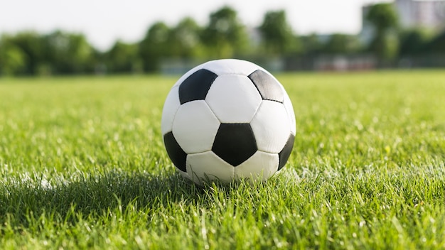 Pelota en césped verde