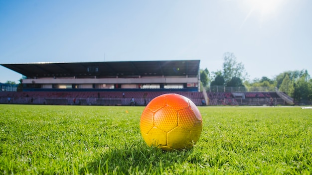 Pelota en cesped