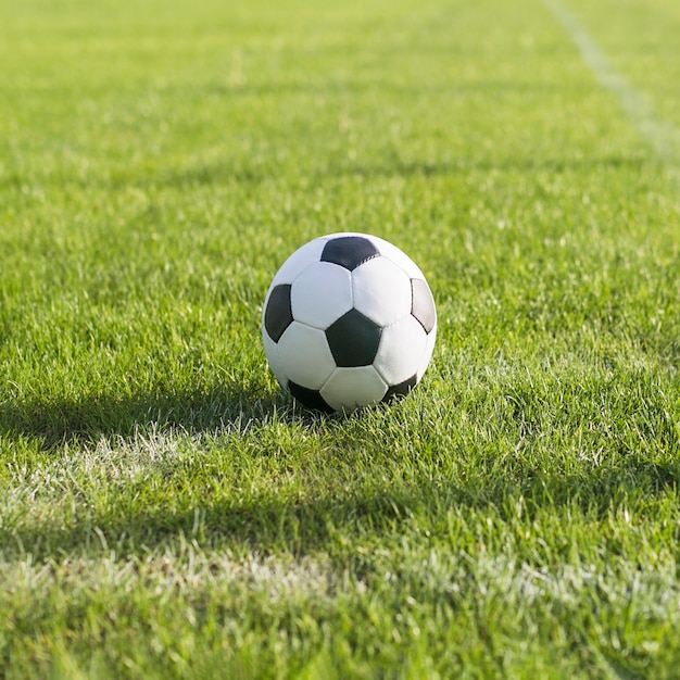 Foto gratuita pelota en césped