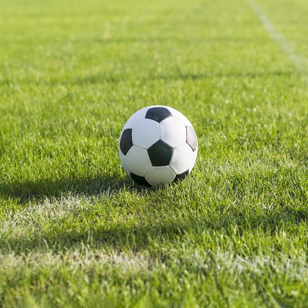 Pelota en césped