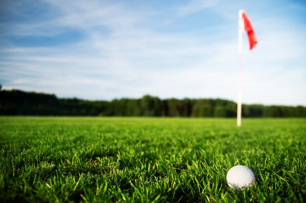 Pelota de golf en un campo de césped