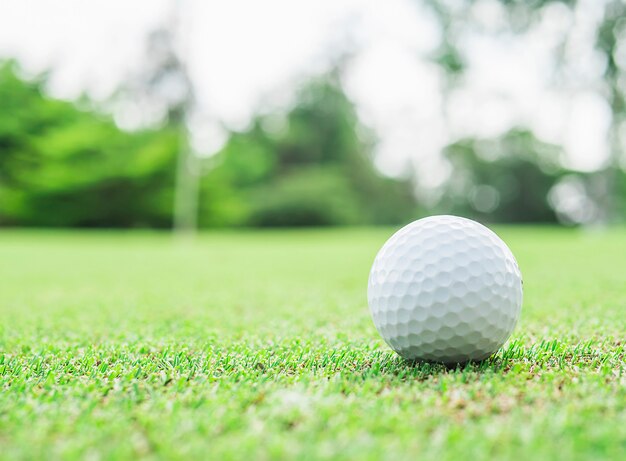 Pelota de golf en verde con flagstick pin borrosa y fondo de árbol verde