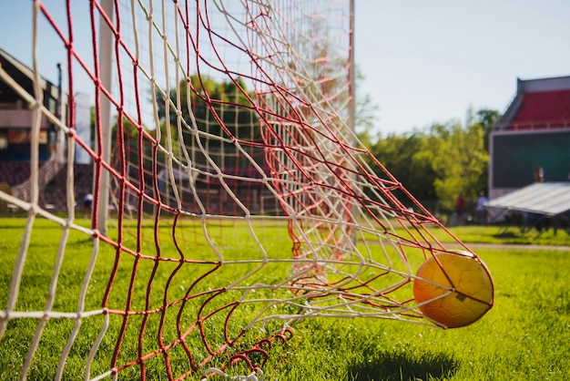 Pelota en red