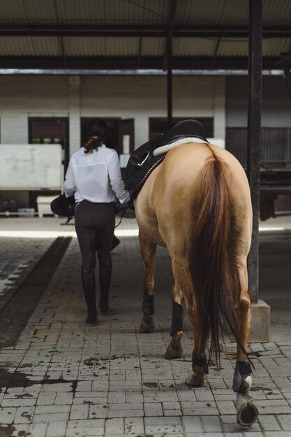 La peluquera lava los cascos de un caballo después de clase en el hipódromo. Una mujer cuida un caballo, lo lava después del entrenamiento.