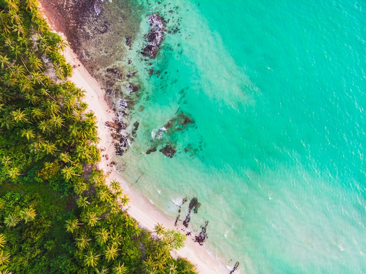 Photo Gratis pemandangan udara pantai dan laut yang indah dengan pohon kelapa
