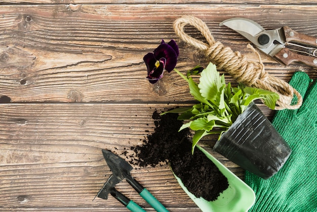 Foto gratuita pensamiento violeta planta de maceta con suelo; herramientas de jardinería; cuerda y tijeras de podar en mesa de madera.