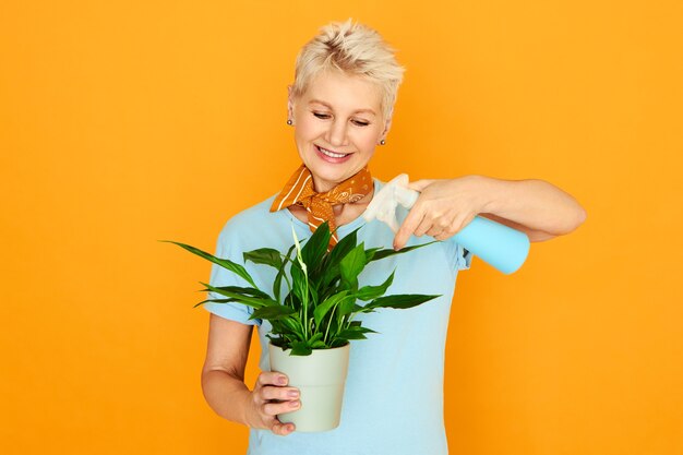 Pensionista elegante pasar tiempo en interiores cuidando de plantas de interior. Mujer jubilada sosteniendo una olla, atomizador, nebulizando hojas verdes de plantas decorativas para eliminar el polvo y la suciedad. Primavera y flor