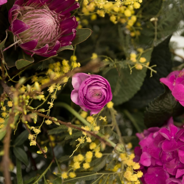 Peonía morada y flor de mimosa amarilla en el ramo.