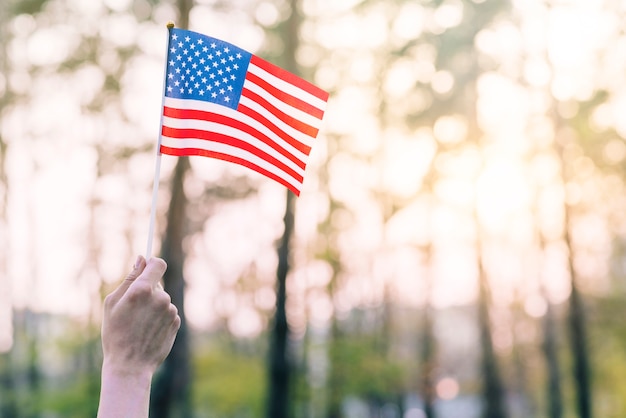 Pequeña bandera americana contra parque soleado