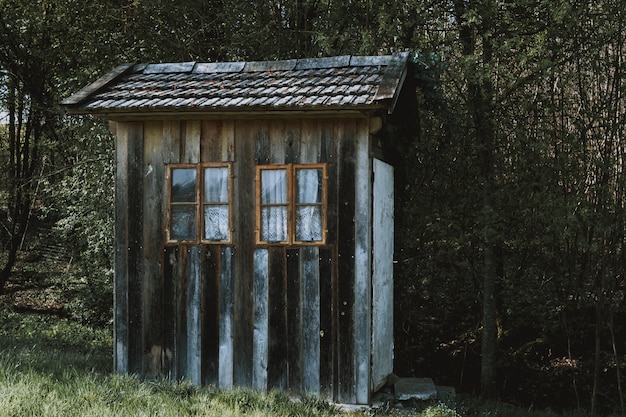 Pequeña cabaña de madera con ventanas marrones con cortinas blancas en un bosque rodeado de árboles