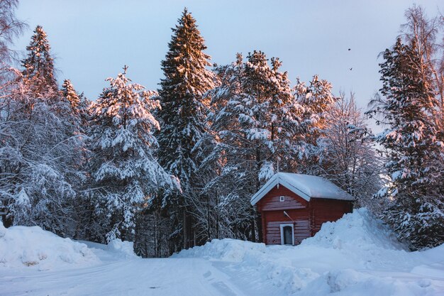 Pequeña cabaña roja en una zona nevada rodeada de abetos cubiertos de nieve con un toque de rayos de sol