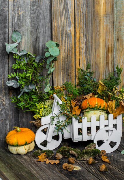 pequeña calabaza en la pared de madera, otoño