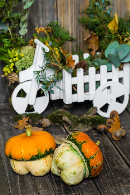 pequeña calabaza en la pared de madera, otoño