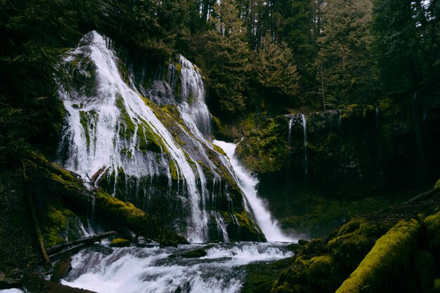 Una pequeña cascada hermosa en un bosque que forma un río