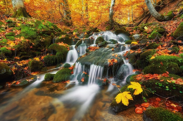 Pequeña cascada en las montañas