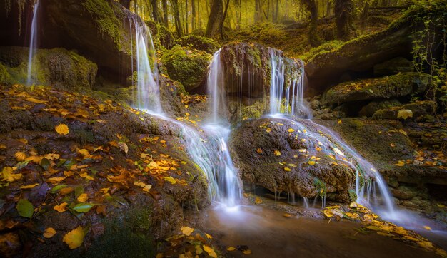 Pequeña cascada en las rocas con hojas caídas en otoño