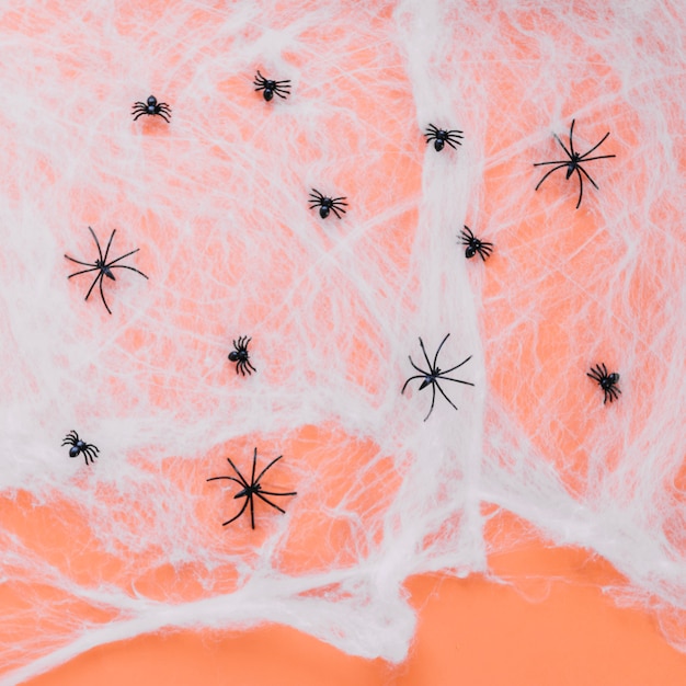 Pequeñas arañas de juguete en la web