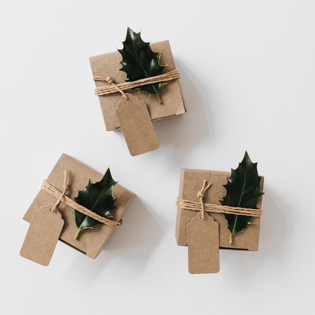 Pequeñas cajas de regalo con folletos verdes.