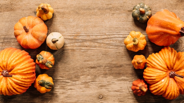 Pequeñas calabazas con espacio de copia